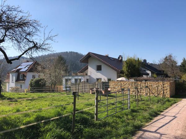 Dachsanierung mit Anbau