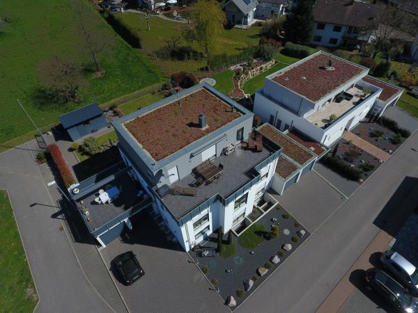 Flachdach mit Dachbegrünung