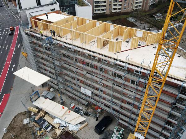 Montage Dach-Brettsperrholzplatten